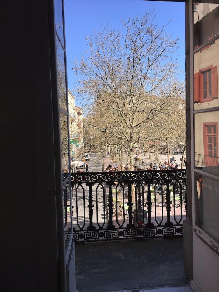 Place Carnot Каркасон Екстериор снимка
